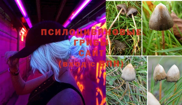 молекула духа Волоколамск
