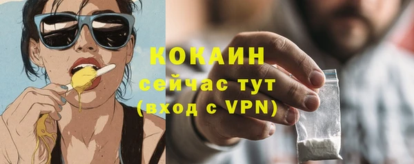 молекула духа Волоколамск
