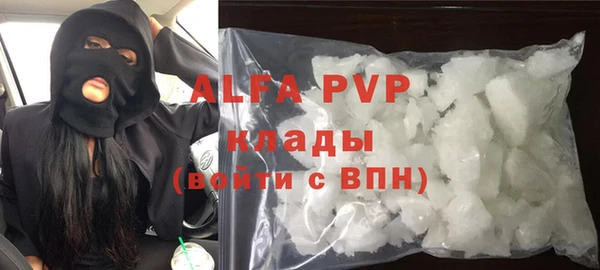 PSILOCYBIN Волосово