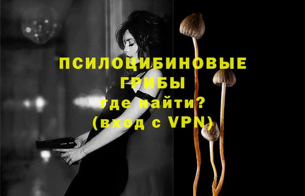 PSILOCYBIN Волосово