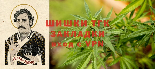 PSILOCYBIN Волосово