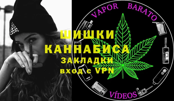 PSILOCYBIN Волосово