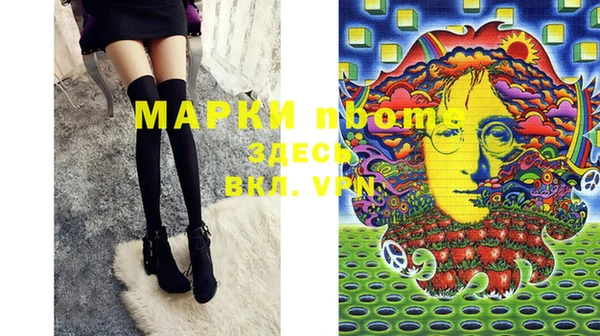 PSILOCYBIN Волосово