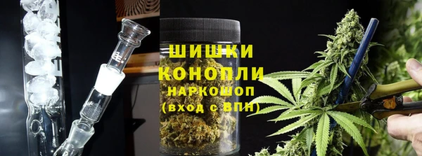 молекула духа Волоколамск