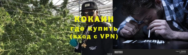 молекула духа Волоколамск