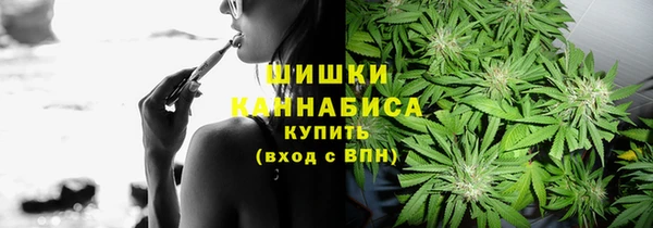 PSILOCYBIN Волосово