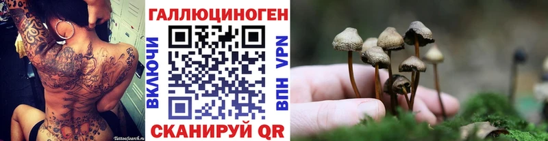 купить наркотик  даркнет как зайти  Галлюциногенные грибы мицелий  Полярные Зори 